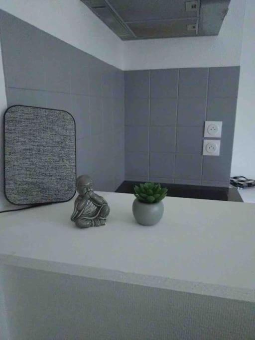 Metz Muse Studio 4 Couchages Esterno foto
